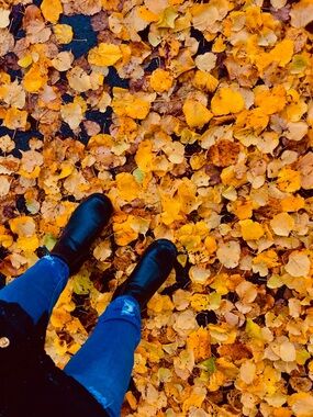 Meet your Posher, Ana